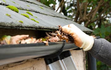 gutter cleaning Whinny Hill, County Durham