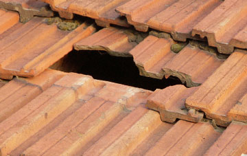 roof repair Whinny Hill, County Durham